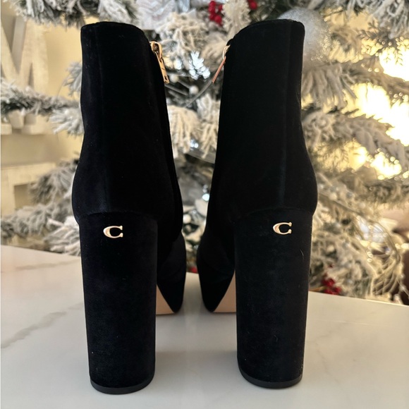 Coach Iona Velvet Bootie - Picture 4 of 6